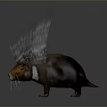 Unique Animal With Orange Head Long Whiskers And Fluffy Back Hair