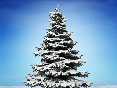 Tall Snow Covered Pine Tree Standing Against Clear Blue Sky Background 3d model