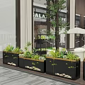 Modern Garden Landscape With Green Plants Planters And Umbrellas By Building Facade