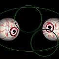 Human Eyes Displaying Detailed Vascular Texture With Green Outline Against Black Background