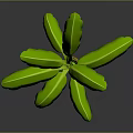 3D Rendered Banana Plant With Green Leaves Yellow Trunk And Small Red Fruit
