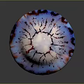 Blue and Purple Jellyfish with Long Tentacles on Dark Background Showing Reflection