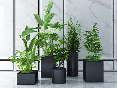Bonsai Potted Plants Various Green Plants in Black Square Pots for Modern Indoor Decor 3d model