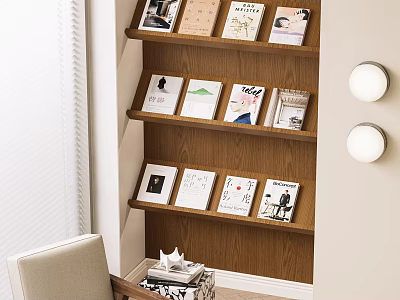 Wooden Display Shelf With Multiple Layers Holding Books In Living Room Interior 3d model
