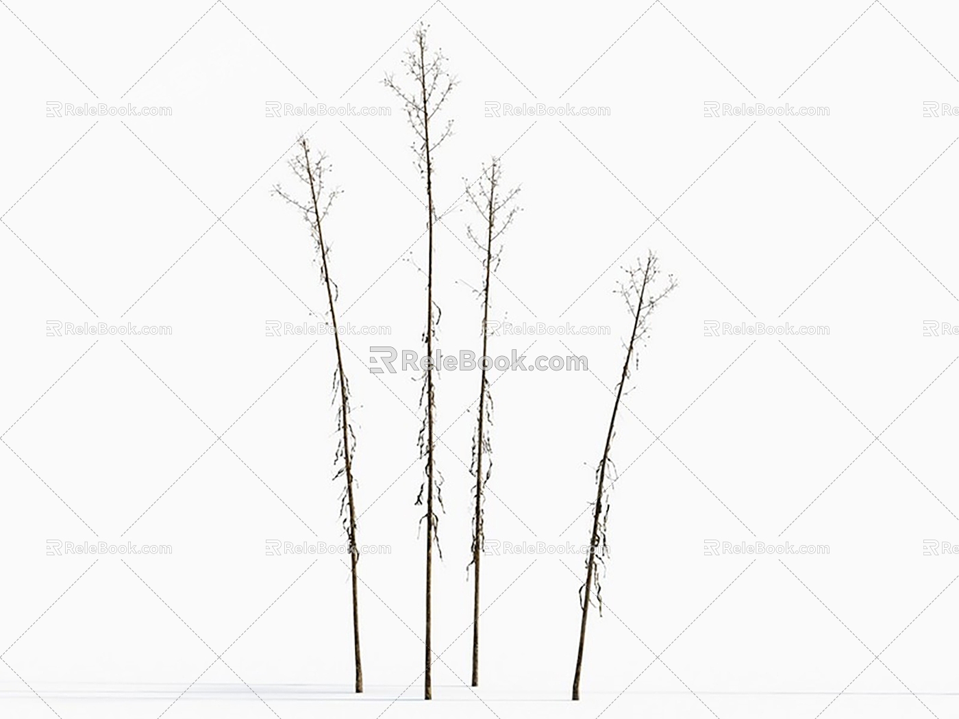 Modern broom chrysanthemum's drill-shaped aster withered grass hay 3d model