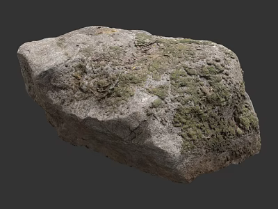 Natural Rough Stone Surface Covered With Green Moss Texture 3d model