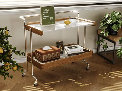 Modern Side Table with Transparent Top Wooden Shelf Metal Frame on Wheels Living Room 3d model