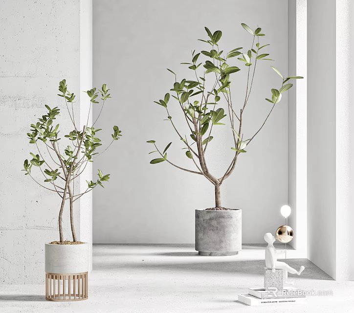 Bonsai Potted Plants With Lush Green Leaves In Concrete And Textured White Pots 3d model 