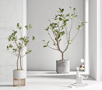 Modern potted potted potted potted combination 3d model