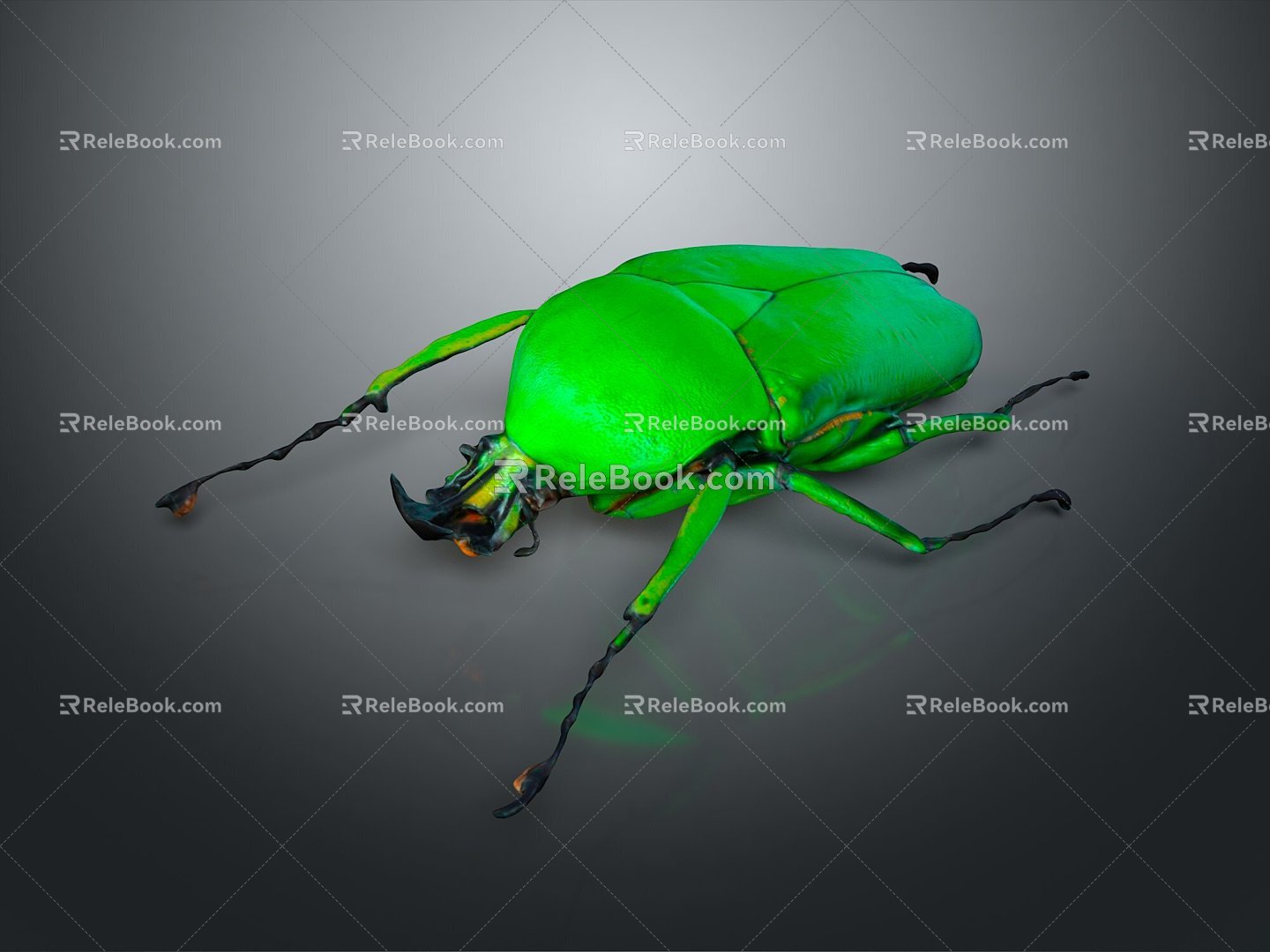 Modern Beetle Green Flower Scarab Scarab White Strip Green Flower Scarab Beetle 3d model