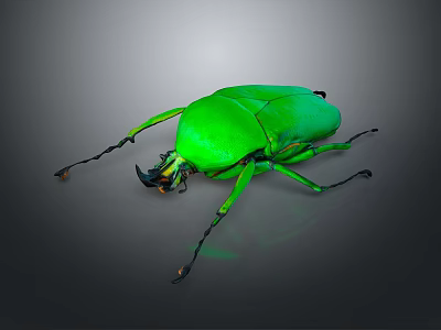 Vibrant Green Flying Beetle with Shiny Exoskeleton Detailed Legs and Dark Background 3d model