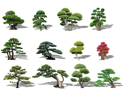 Various Shaped Decorative Arbor Trees With Green And Red Foliage For Landscape Design 3d model