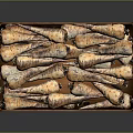 Fresh Organic Root Vegetables Neatly Arranged In Wooden Crate On Dark Background