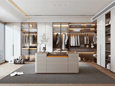 Modern Walk-in Closet Interior Design With Cabinetry Hanging Rods And Drawer Units 3d model