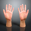 Two Open Human Hands Showing Palms And Fingers On Gray Background With Reflection 3d model