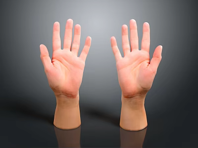 Two Open Human Hands Showing Palms And Fingers On Gray Background With Reflection 3d model