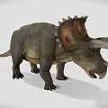 Realistic Triceratops Dinosaur 3D Model in Standing Pose with Detailed Features