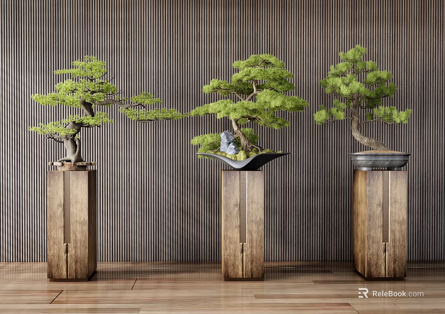 Three Bonsai Trees Placed On Wooden Pedestals Against Vertical Striped Wall 3d model 