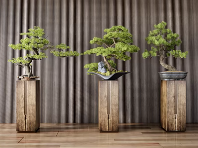 Three Bonsai Trees Placed On Wooden Pedestals Against Vertical Striped Wall 3d model