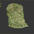 Natural Wood Stone with Moss Covered Rough Surface and Natural Rock Texture