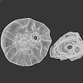 Artistic Ceramic Vessels With Intricate Textured Surfaces And Sculptural Design