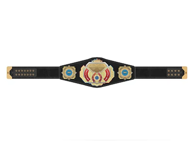 Professional Boxing Championship Belt With Black Leather Gold Accents And Red Center Badge 3d model