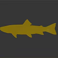 Freshwater Fish with Yellow Fins and Brown Spotted Body on Gray Background with Reflection