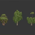 Various Green Trees With Different Shapes Including Weeping Willow And Pine On White Background