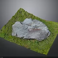 Natural Green Grassland With Large Gray Rock And Lush Vegetation