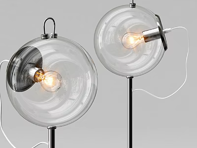 Modern Transparent Glass Globe Floor Lamp With Metal Stand And Warm Lit Bulb 3d model