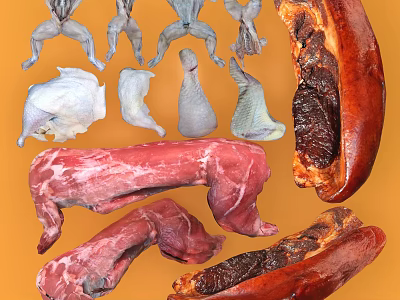 Different Types of Fresh Raw and Cooked Meat Cuts with Chicken and Pork 3d model