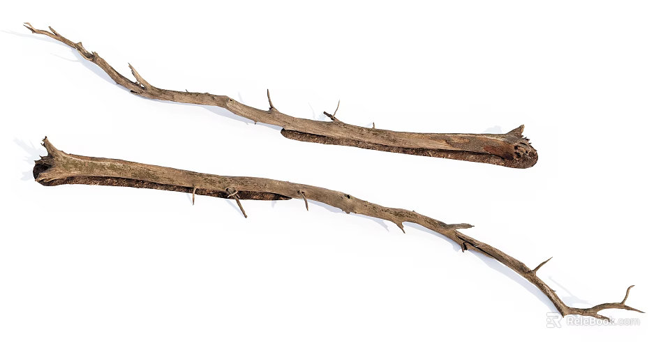 Rustic Dry Wood Branches With Spiky Thorns Natural Organic Texture 3d model 