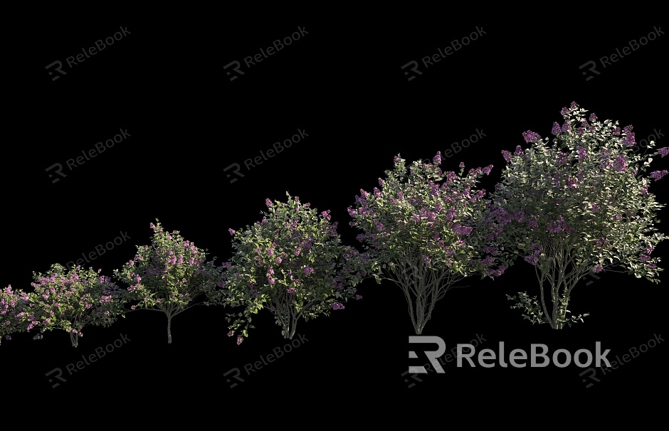 Plant Shrub Forest Shrub model