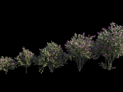 Flowering Shrubs With Purple Blooms Various Types And Sizes For Garden Landscaping 3d model