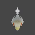 Cute Game Movie Character Parrot With Yellow Crest White And Yellow Feathers And Pink Beak