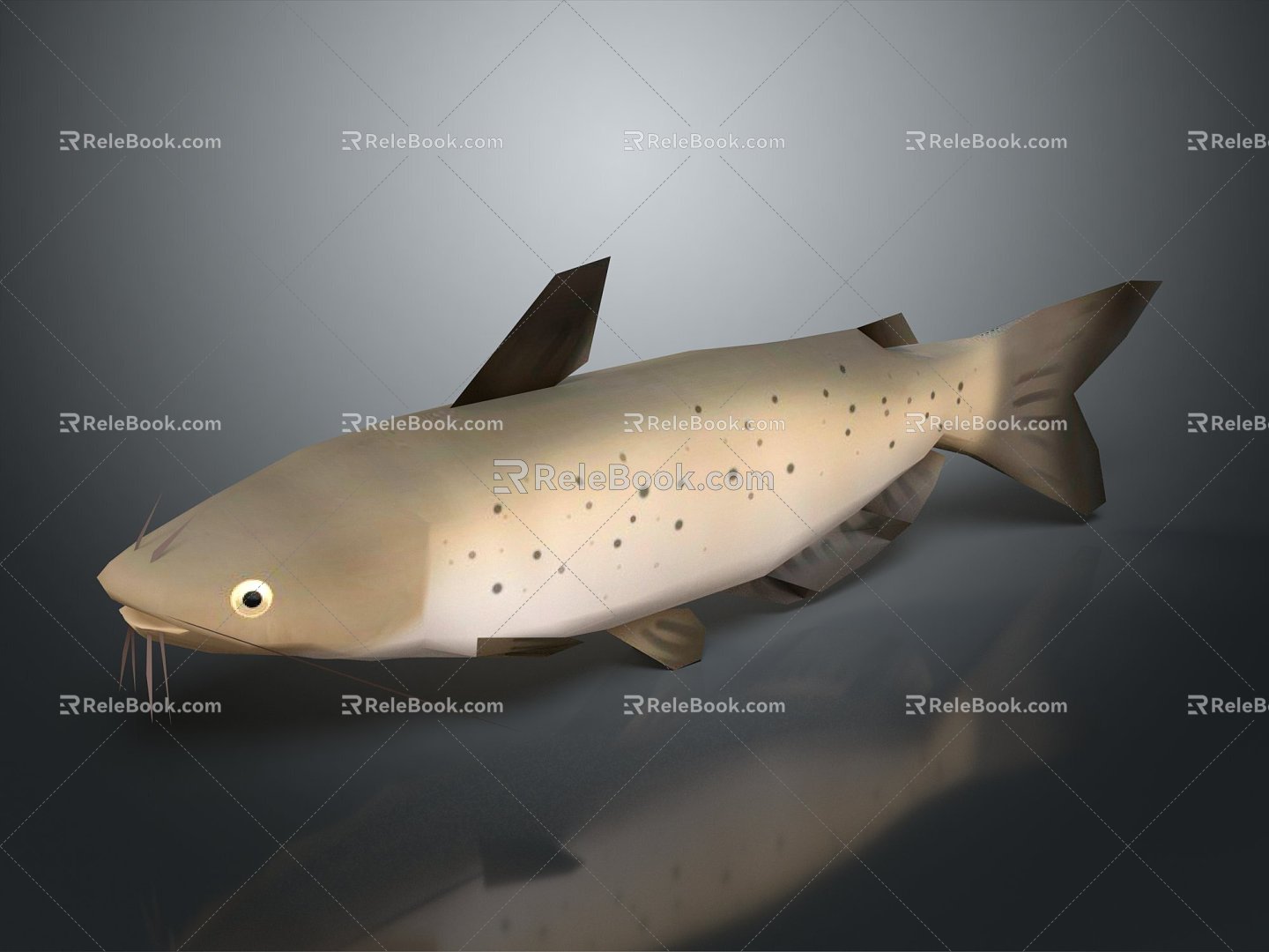 Modern catfish catfish catfish beard catfish 3d model