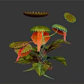 Vibrant Tropical Carnivorous Plant Featuring Orange Pitchers Yellow Lids And Green Leaves