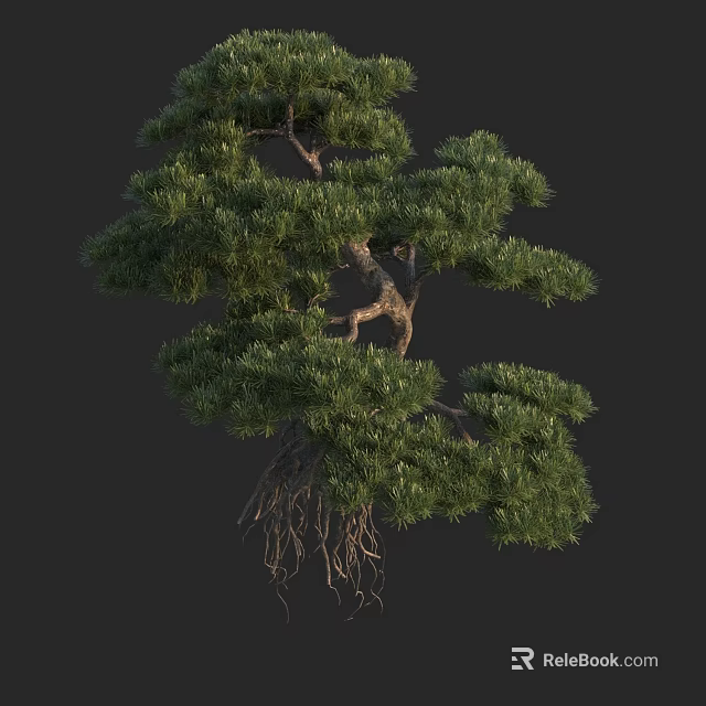 Lush Green Arbor With Exposed Roots And Dense Foliage Isolated On Dark Background 3d model 