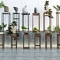 Various Stylish Plant Stands With Green Plants And Decorative Ornaments