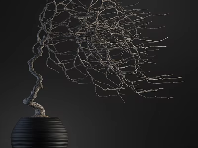 Bonsai Plant With Twisted Leafless Branches In Black Textured Pot Against Dark Background 3d model