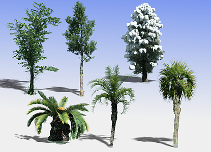 Modern Tree Landscape Big Tree 3d model