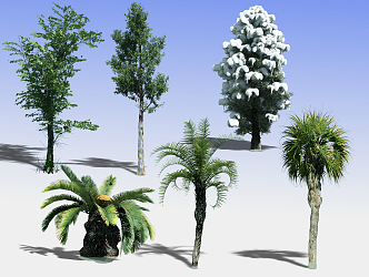 Modern Tree Landscape Big Tree 3d model