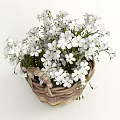 Handwoven Wicker Basket Vases Filled With Fresh White Flowers For Home Decor