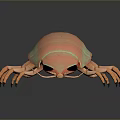 3D Rendered Woodlouse Featuring Copper Green Iridescent Shell And Multiple Legs On Dark Background