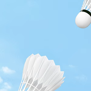 Badminton Ball Sports Goods 3d model