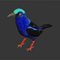 Vibrant Blue Bird With Blue Head Black Wings Tail And Red Legs On Gray Background