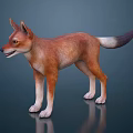 Realistic Brown Dog With Pointed Ears And Dark Tipped Tail Standing On Dark Background Reflection
