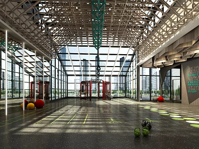 Spacious Fitness Gym With Large Floor To Ceiling Windows Sunlight Industrial Ceiling Dumbbells Exercise Balls 3d model