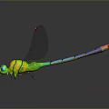 Detailed Vibrant Dragonfly With Colorful Body Transparent Wings And Iridescent Reflections