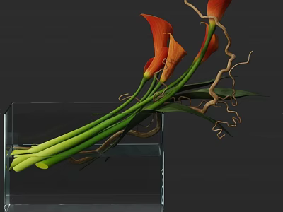 Transparent Glass Vase With Orange Calla Lilies Green Stems And Curved Branches 3d model